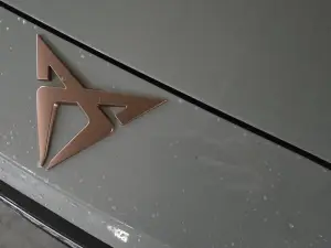 Cupra Leon Come e Come Va - 10